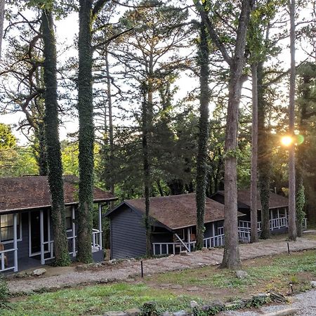 Adventure Cabin 5 - King W Private Hot Tub Villa Eureka Springs Buitenkant foto